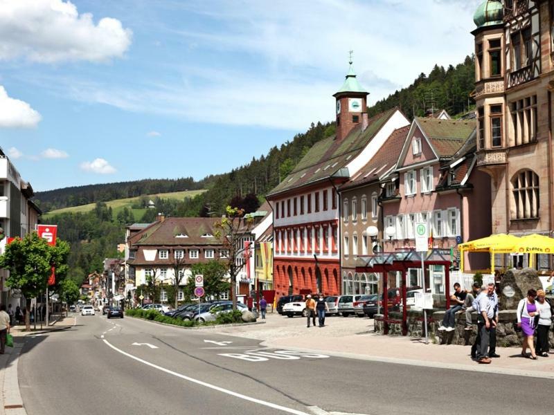 H-Apartment 1 Triberg im Schwarzwald Exterior foto